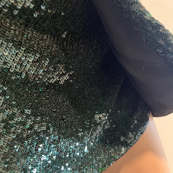 Haute Hippie Green Sequins Mini Skirt as Seen on Jlo & Gossip Girl! Siz… - Picture 10 of 16